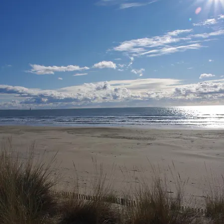 La Calypso לה גרנד מוט